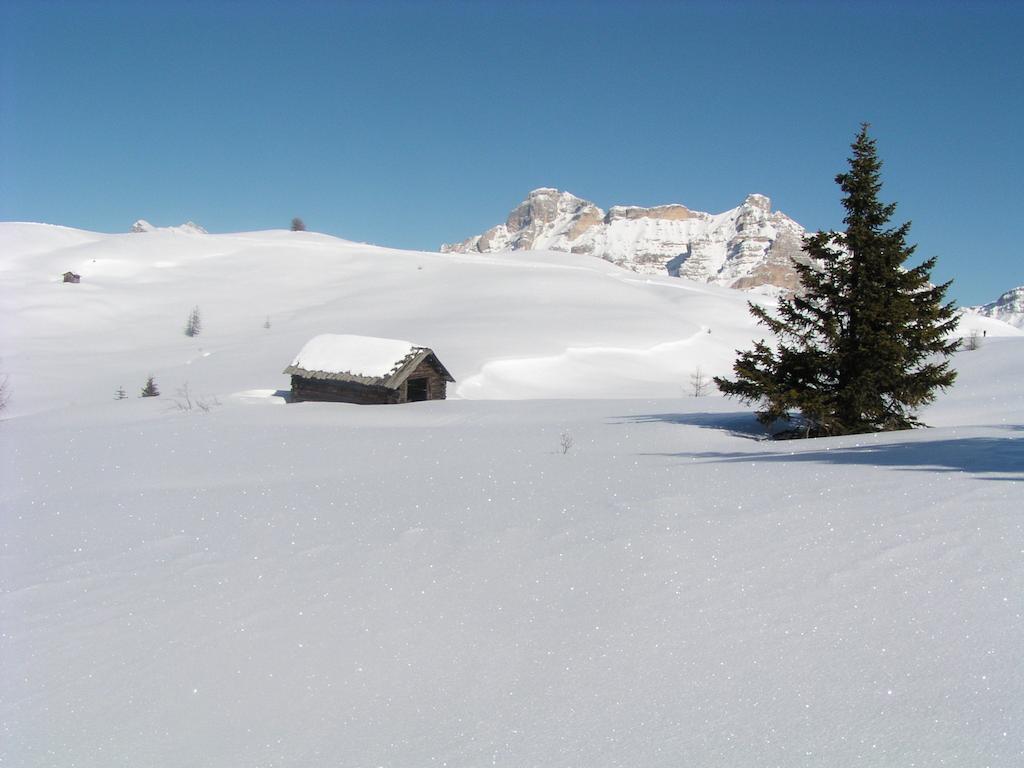 Apartments Residence Alta Badia Colfosco Eksteriør bilde